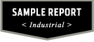 sample report - industrial